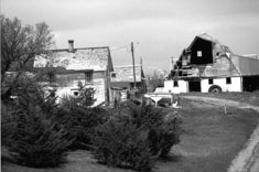 salix homestead